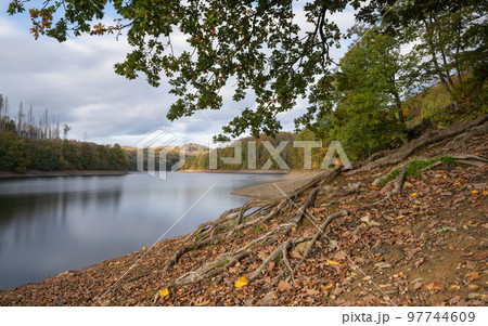 Agger lake, Bergisches Land, Germany 97744609