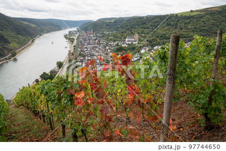 Oberwesel, Rhine valley, Rhineland-Palatinate, Germany Oberwesel, Rhine valley, Rhineland-Palatinate, Germany 97744650
