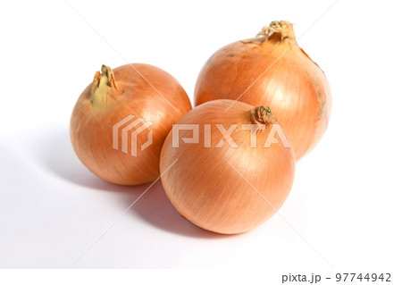 たまねぎ(天心たまねぎ) たまねぎ(天心たまねぎ) 97744942