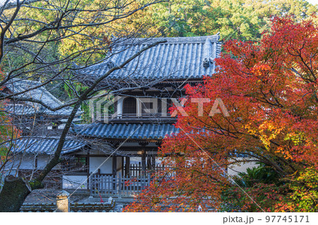 【徳島県】丈六寺の紅葉　 97745171