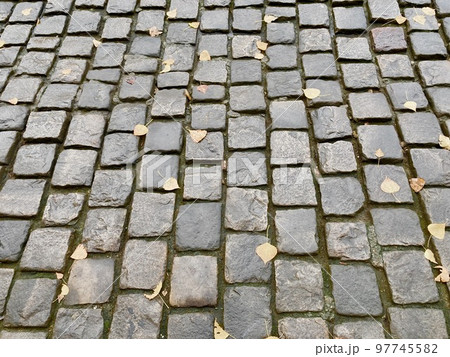 パリの石畳の道 97745582