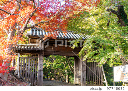 【徳島県】丈六寺の紅葉 【徳島県】丈六寺の紅葉 97746032