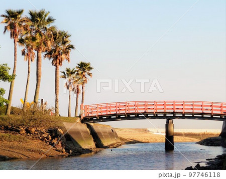 ヤシの木が並ぶ海辺にある赤いアーチ橋 ヤシの木が並ぶ海辺にある赤いアーチ橋 97746118