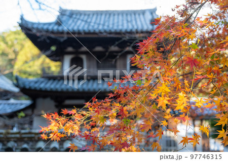 【徳島県】丈六寺の紅葉 【徳島県】丈六寺の紅葉 97746315