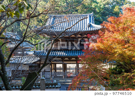 【徳島県】丈六寺の紅葉　 97746510