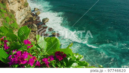 Rocky beach sea bay with transparent blue water at sunny summer day and bright pink flowers in foreground. Ocean waves crash on limestone rocks. Static close-up foootage. Nobody. Rocky beach sea bay with transparent blue water at sunny summer day and bright pink flowers in foreground. Ocean waves crash on limestone rocks. Static close-up foootage. Nobody. 97746620