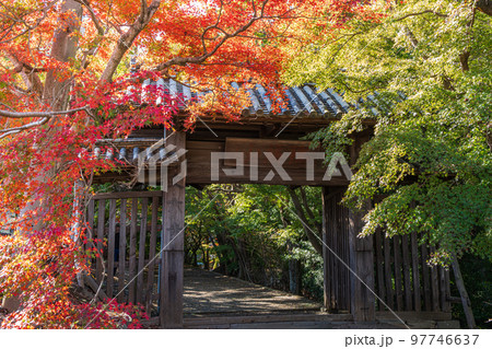 【徳島県】丈六寺の紅葉 【徳島県】丈六寺の紅葉 97746637