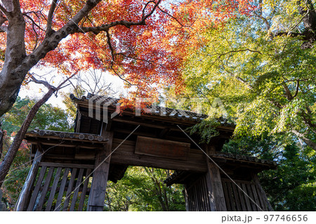 【徳島県】丈六寺の紅葉 【徳島県】丈六寺の紅葉 97746656