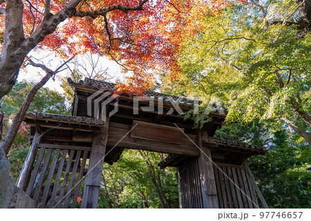 【徳島県】丈六寺の紅葉 【徳島県】丈六寺の紅葉 97746657