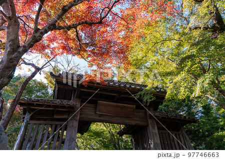 【徳島県】丈六寺の紅葉　 97746663