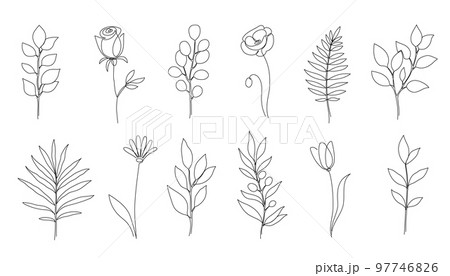 Flower, floral leaf one line art. One continuous line art leaf, flower minimal design. Editable stroke eucalyptus branch, rose, poppy foliage floral element. Isolated Flower, floral leaf one line art. One continuous line art leaf, flower minimal design. Editable stroke eucalyptus branch, rose, poppy foliage floral element. Isolated 97746826