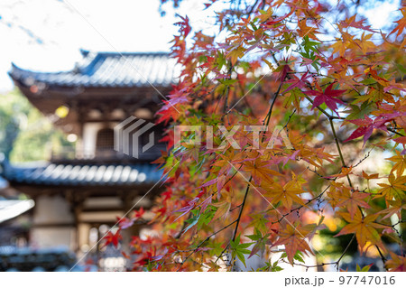 【徳島県】丈六寺の紅葉 【徳島県】丈六寺の紅葉 97747016