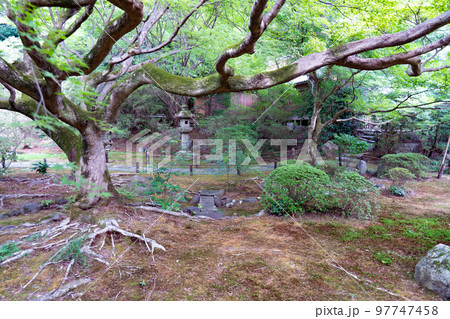 【近畿三十六不動霊場】第十九番　青蓮院門跡の夏の小堀遠州霧島の庭2　京都府京都市東山区 97747458