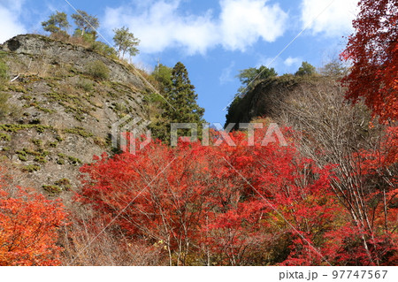 石鎚山系の紅葉 97747567