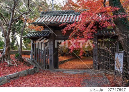 【徳島県】丈六寺の紅葉　 97747667