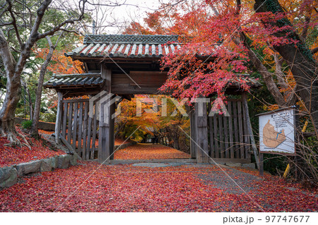 【徳島県】丈六寺の紅葉　 97747677