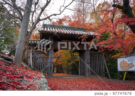 【徳島県】丈六寺の紅葉　 97747679