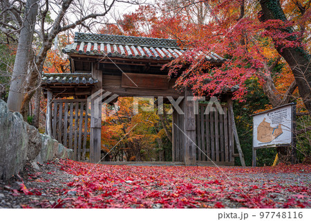 【徳島県】丈六寺の紅葉 【徳島県】丈六寺の紅葉 97748116