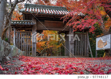 【徳島県】丈六寺の紅葉　 97748117