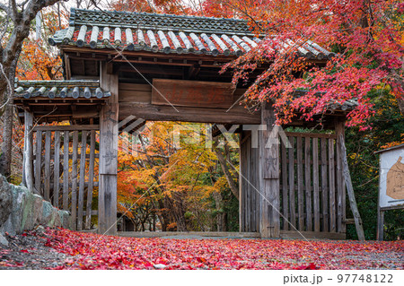 【徳島県】丈六寺の紅葉　 97748122