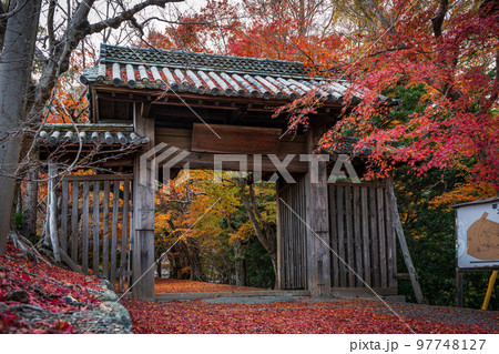 【徳島県】丈六寺の紅葉　 97748127