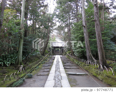 鎌倉市の寿福寺（参道・中門・仏殿） 97748771
