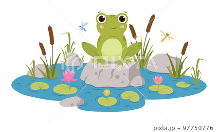 Cartoon frog sitting in pond, cute amphibia. Green toad in natural habitat, froggy water animal in pond with water lilies and reeds flat vector illustrations. Green frog character Cartoon frog sitting in pond, cute amphibia. Green toad in natural habitat, froggy water animal in pond with water lilies and reeds flat vector illustrations. Green frog character 97750776
