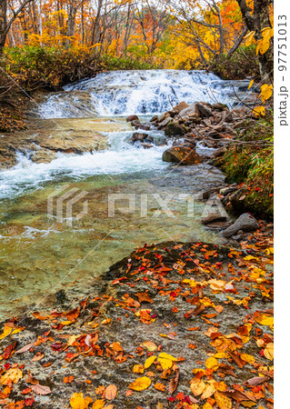 【福島県・奥会津】晩秋の藤八の滝(とうばちのたき) 10月 【福島県・奥会津】晩秋の藤八の滝(とうばちのたき) 10月 97751013