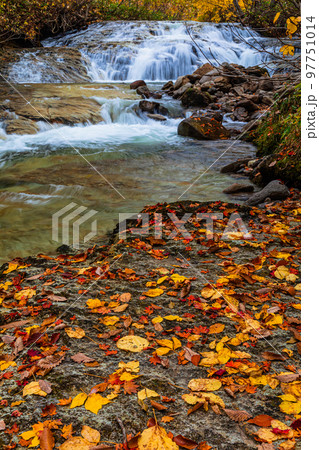 【福島県・奥会津】晩秋の藤八の滝(とうばちのたき) 10月 【福島県・奥会津】晩秋の藤八の滝(とうばちのたき) 10月 97751014