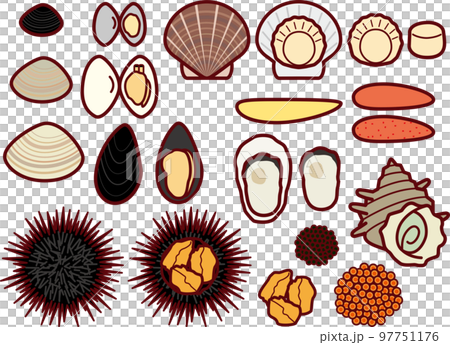 貝類和魚卵 貝類和魚卵 97751176