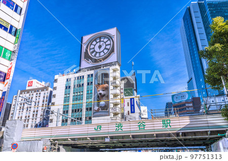 日本の東京都市景観 年の瀬…。渋谷スクランブル交差点前。ハチ公改札側から渋谷駅などを望む 97751313