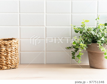 Copy space for presentation for bathing products, food ingredients, eco items 97751346