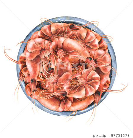 Boiled shrimp in a ceramic bowl. Watercolor illustration. Composition from the SHRIMP collection. For the design and design of menus, recipes, cafes, restaurants, shops, packaging, logos, price tags 97751573