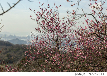 種松山の春 種松山の春 97752811