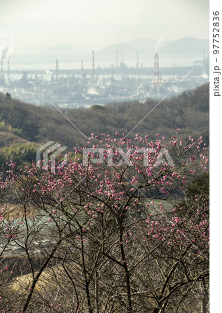 春の景観 春の景観 97752836