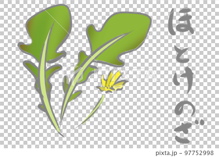 七草　ほとけのざ 97752998