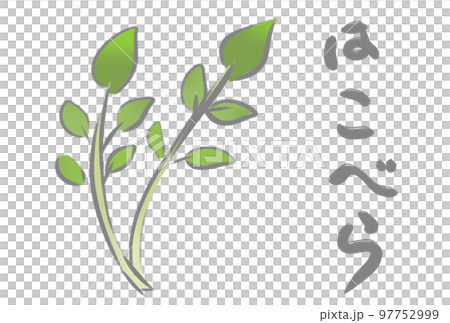 七草　はこべら 97752999