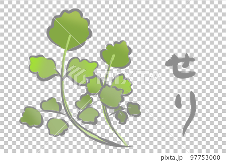 七草　せり 97753000