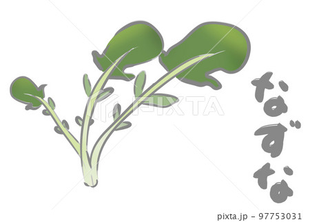 七草　なずな 97753031