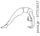 Vector illustration of woman practicing yoga. Fitness training, balance, meditation. Hand drawn doodle of pilates postures. 97753037