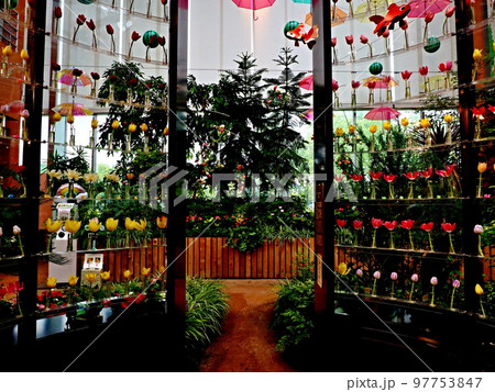 チューリップ四季彩館の風景 97753847