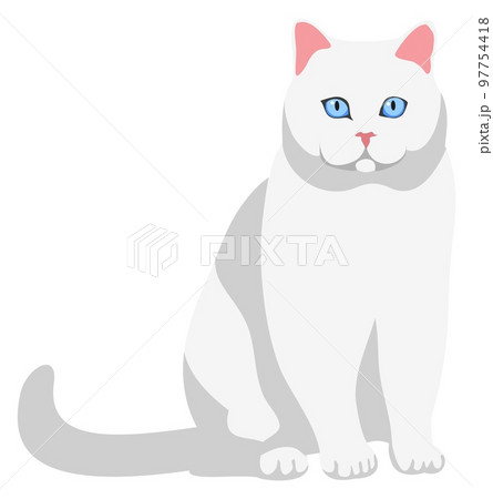 Premium Vector  Sute funny sit cat icon pet animal isolated on white