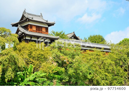 郡山城跡 追手東隅櫓・十九間多聞櫓 郡山城跡 追手東隅櫓・十九間多聞櫓 97754600