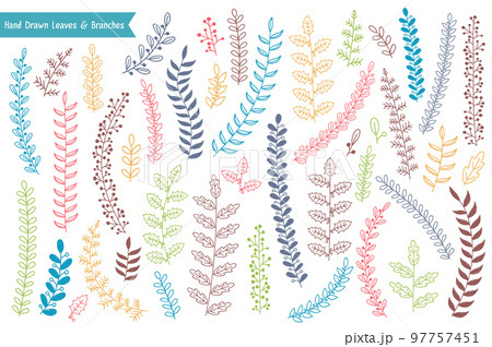 Hand Drawn Leaves and Branches Hand Drawn Leaves and Branches 97757451
