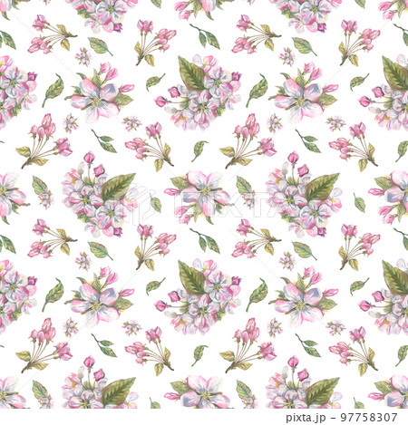 Pink flowers and inflorescences, apple blossom buds with leaves on a white background. Seamless pattern. Watercolor illustration. For decoration and design of spring and summer prints. 97758307