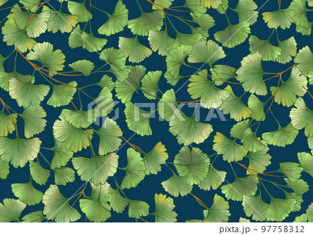 Ginkgo biloba leaves. Seamless pattern, background. 97758312