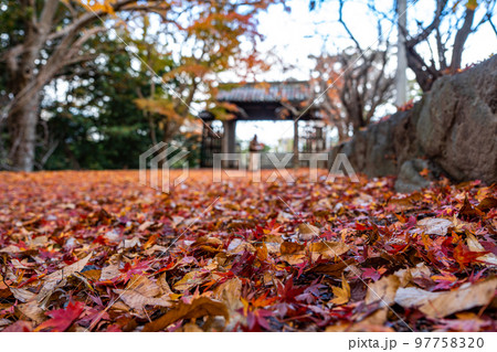 【徳島県】丈六寺の紅葉　 97758320