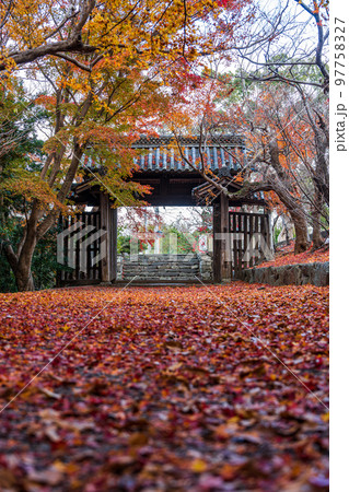 【徳島県】丈六寺の紅葉 【徳島県】丈六寺の紅葉 97758327