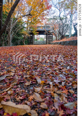 【徳島県】丈六寺の紅葉 【徳島県】丈六寺の紅葉 97758328