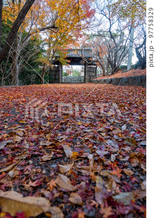 【徳島県】丈六寺の紅葉　 97758329